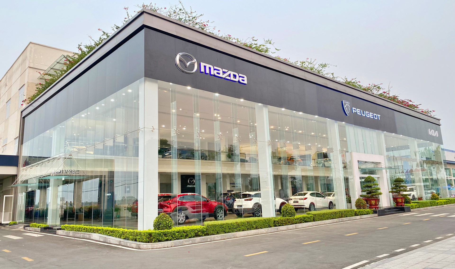 MAZDA QUẢNG NAM