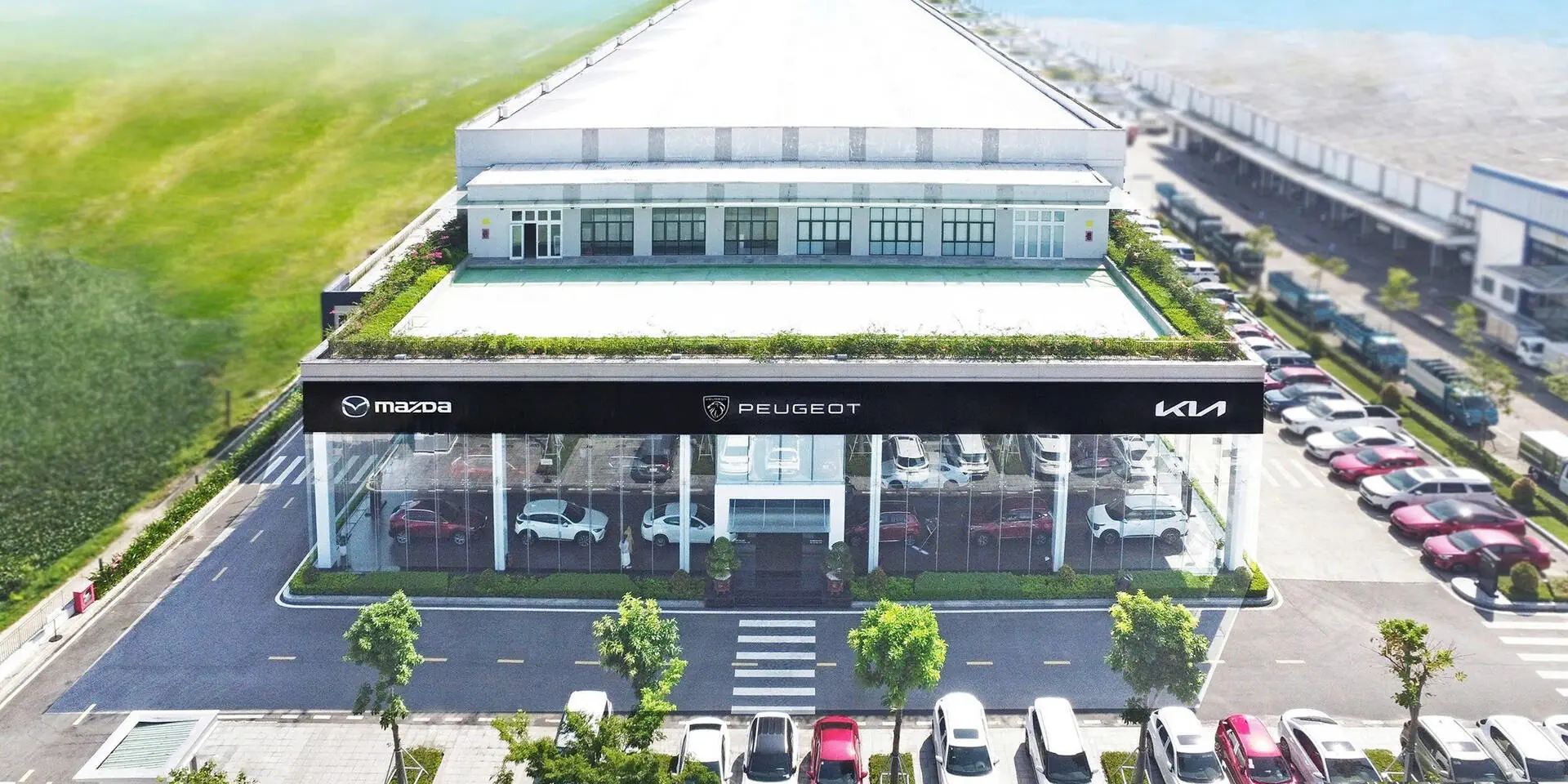 SHOWROOM KIA - MAZDA - PEUGEOT TAM KỲ