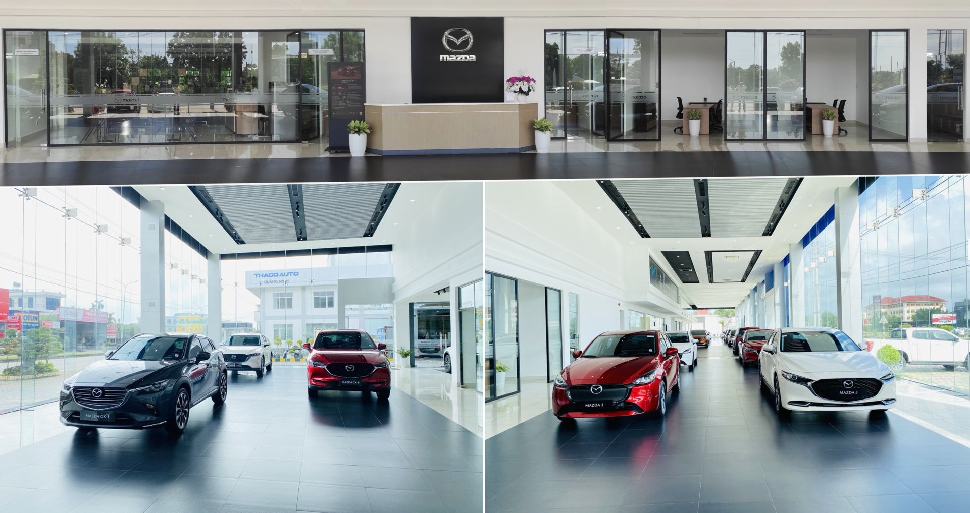 mazda-12.png