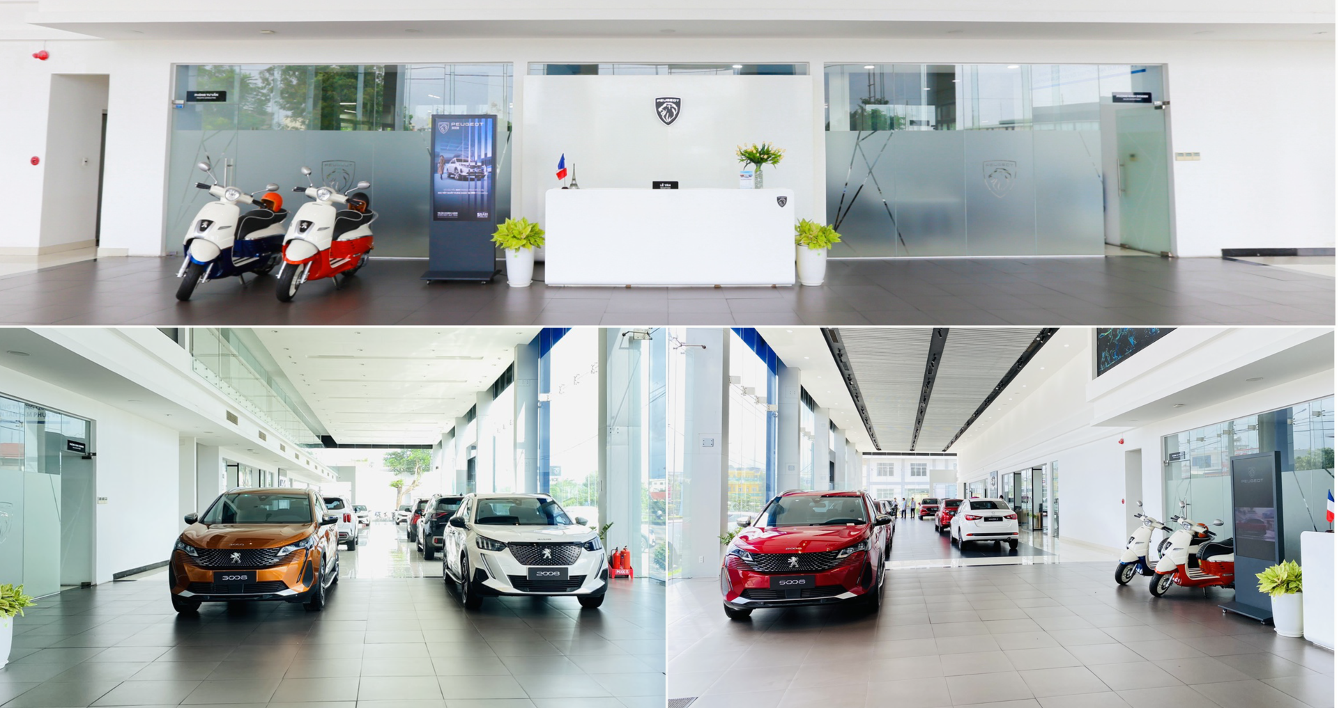 peugeot1.png